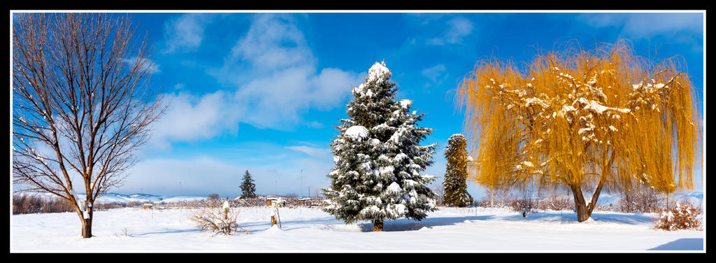 1-_7505068-Pano.jpg