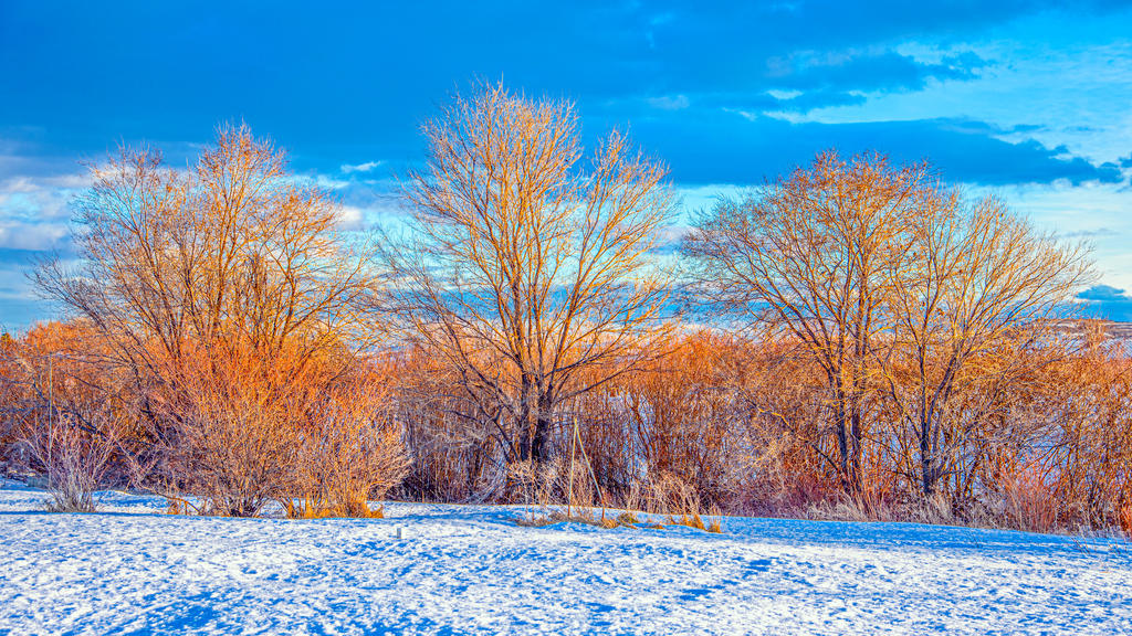 1-_7505584-Edit.jpg