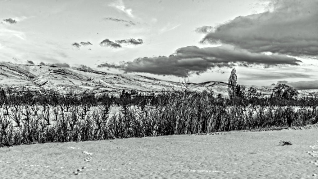 1-_7505795-HDR-Edit.jpg