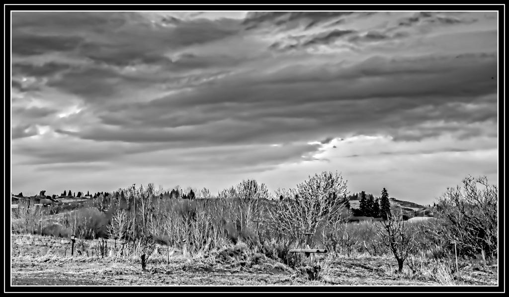 1-_7506314-HDR-Edit.jpg