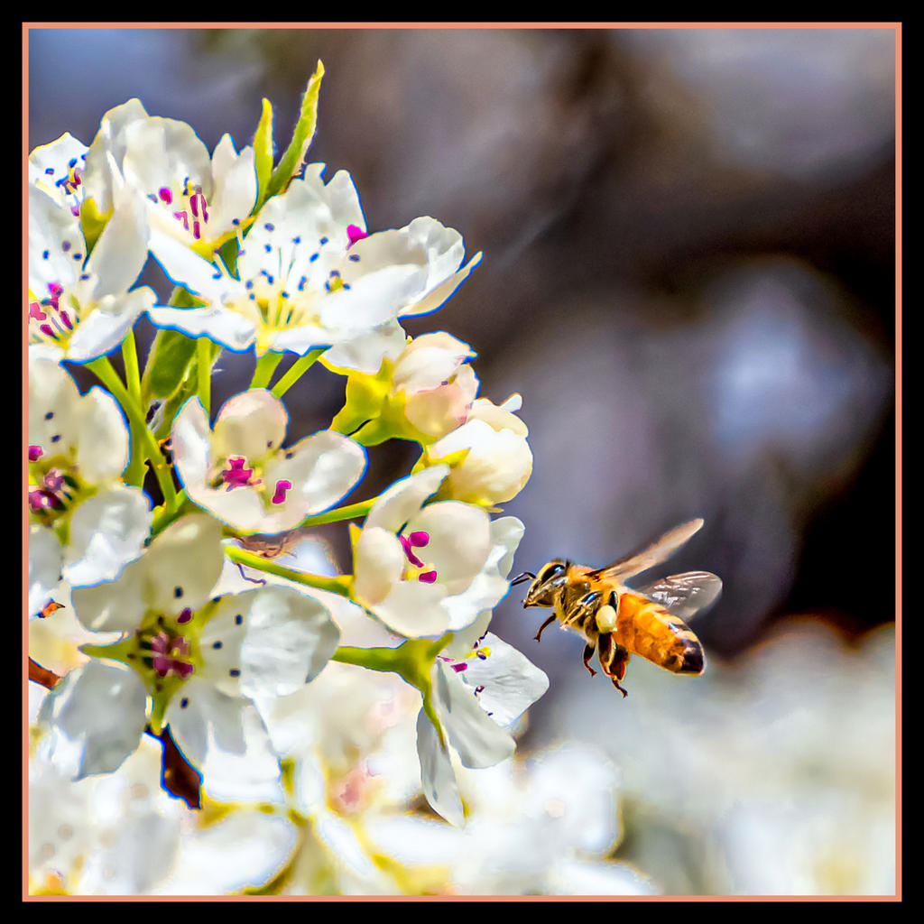 1-_7506628-Edit.jpg