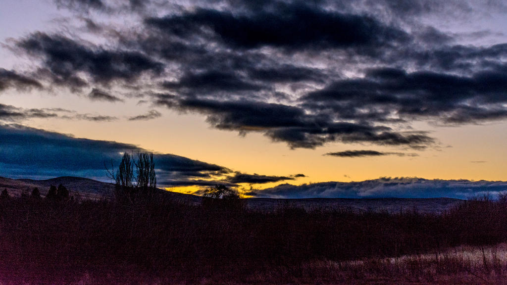 1-DSC_0018.jpg