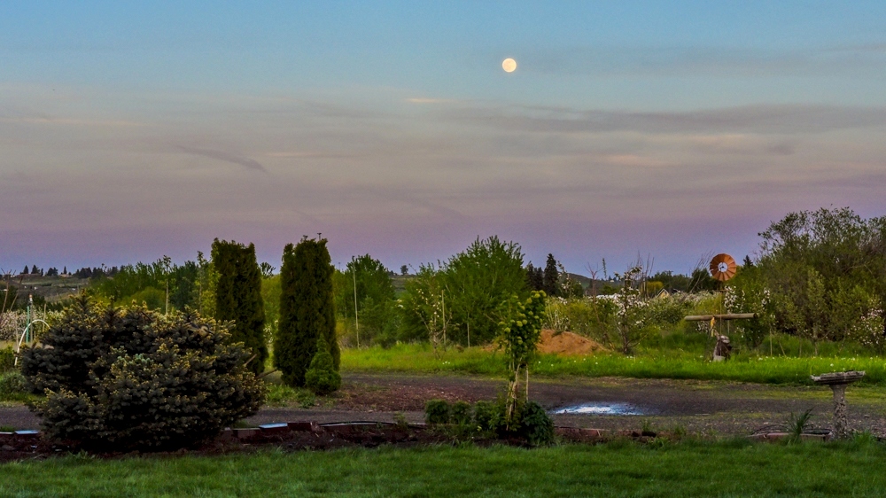 1-DSC_0032.jpg