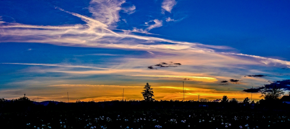 1-DSC_0082-Pano-Edit.jpg