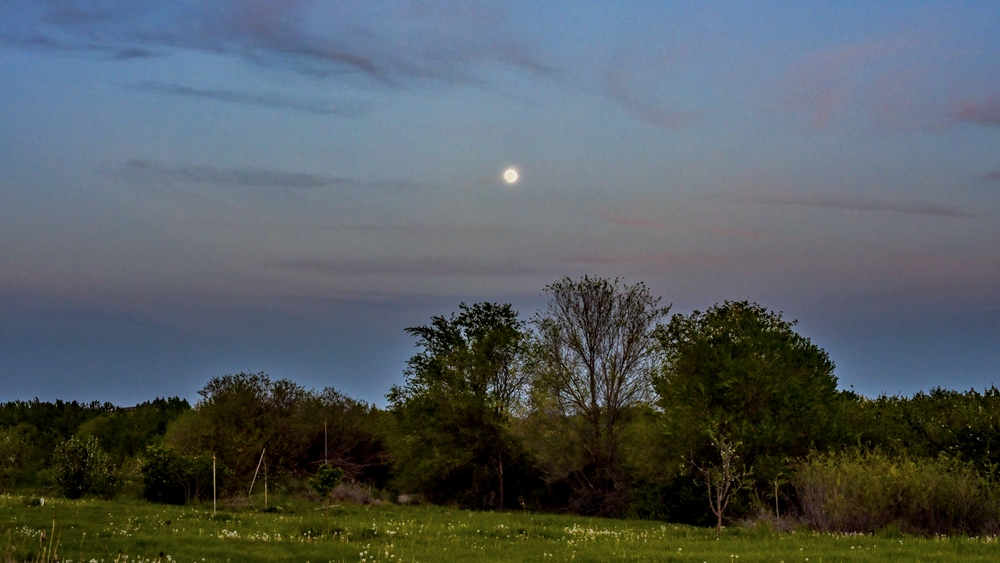 1-DSC_0099.jpg