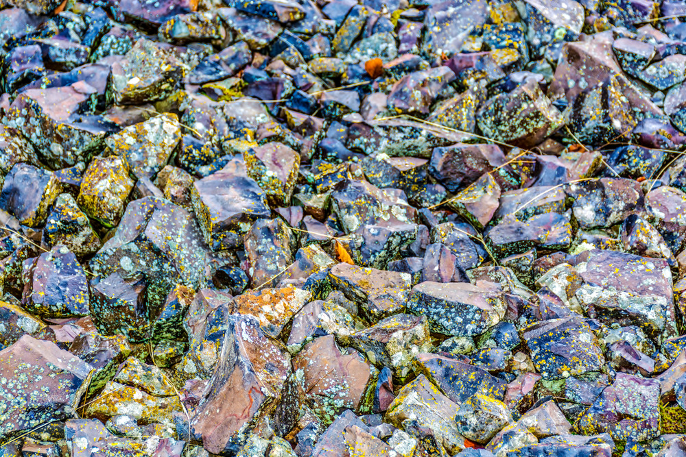 1-DSC_0254-Edit.jpg