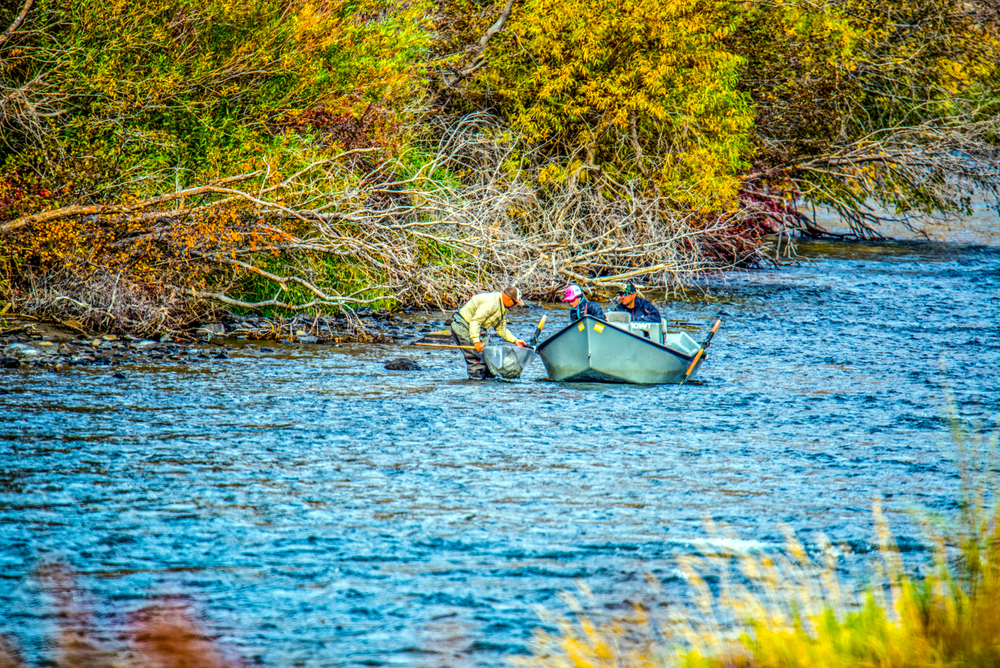 1-DSC_0287-Edit-Edit.jpg