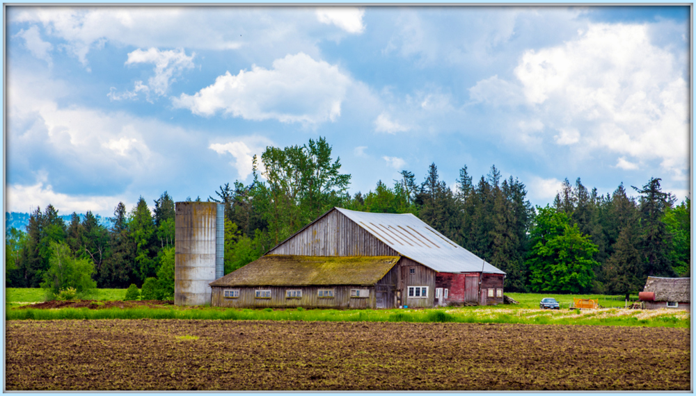 1-DSC_0377.jpg