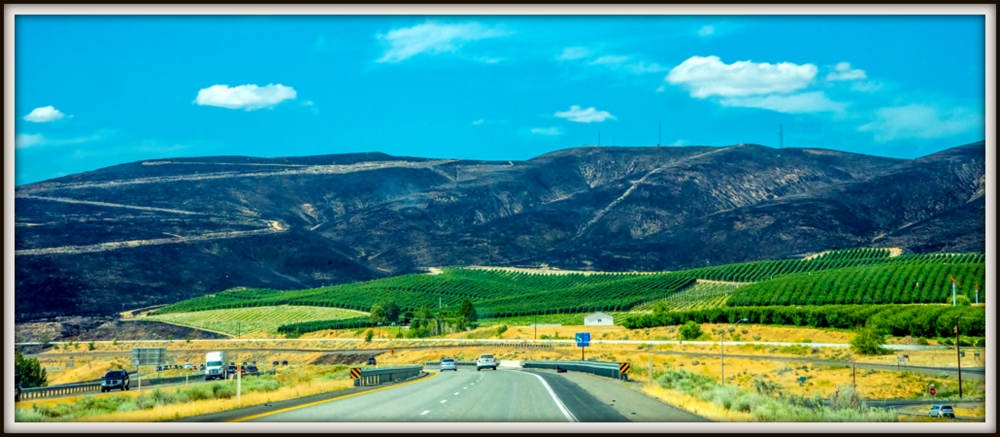1-DSC_0391.jpg