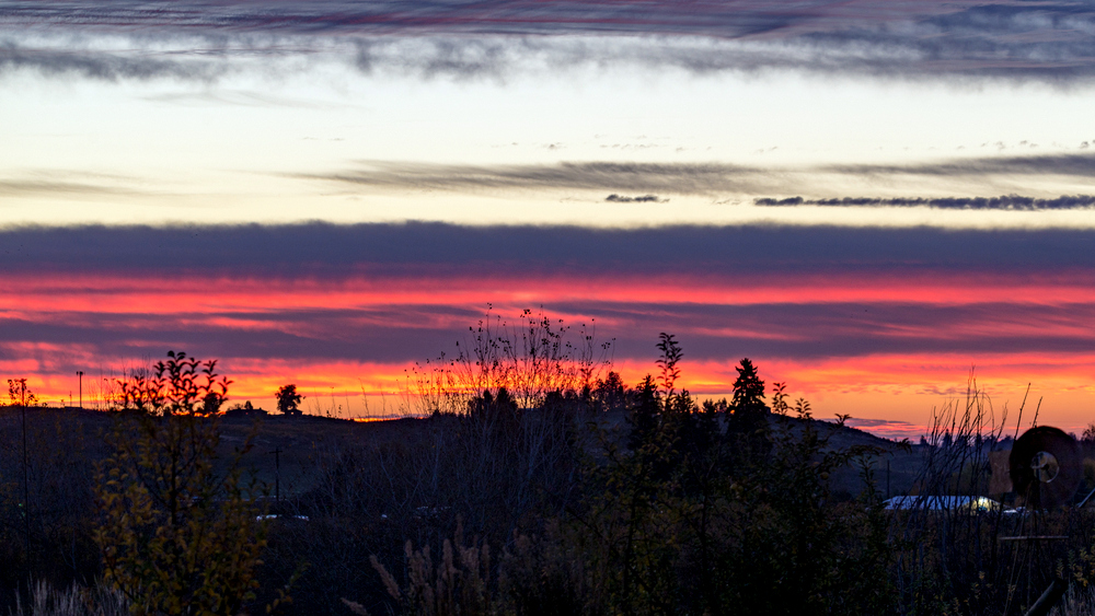 1-DSC_0481.jpg