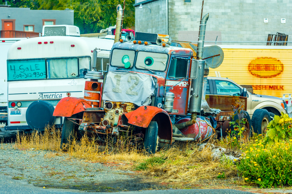 1-DSC_0534.jpg
