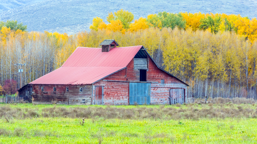 1-DSC_0555.jpg