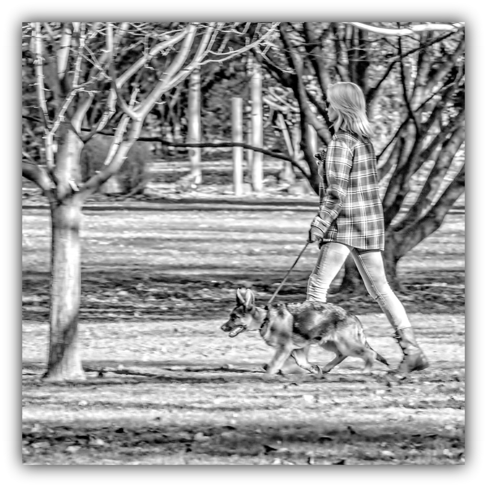 1-DSC_1056-Edit.jpg