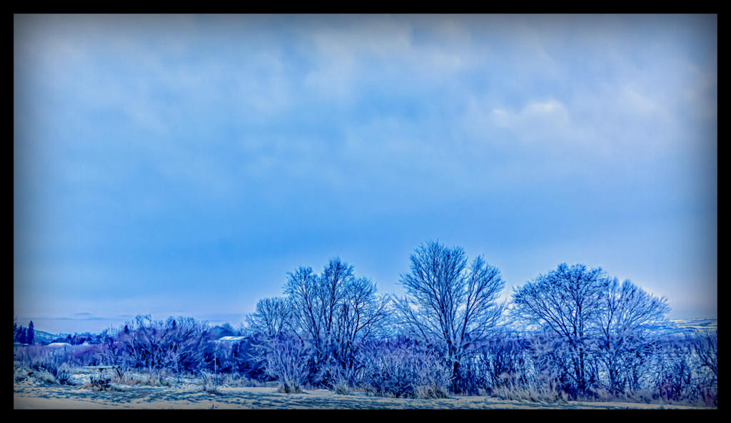 1-DSC_1633-Edit.jpg