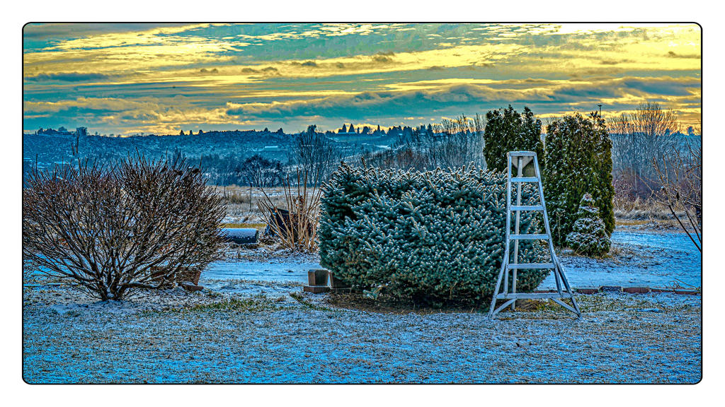 1-DSC_2437-Edit.jpg