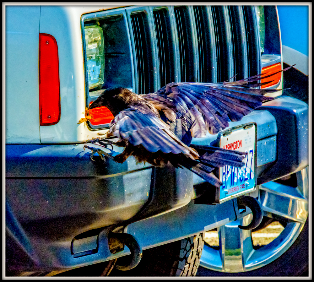 1-DSC_2468-Edit.jpg