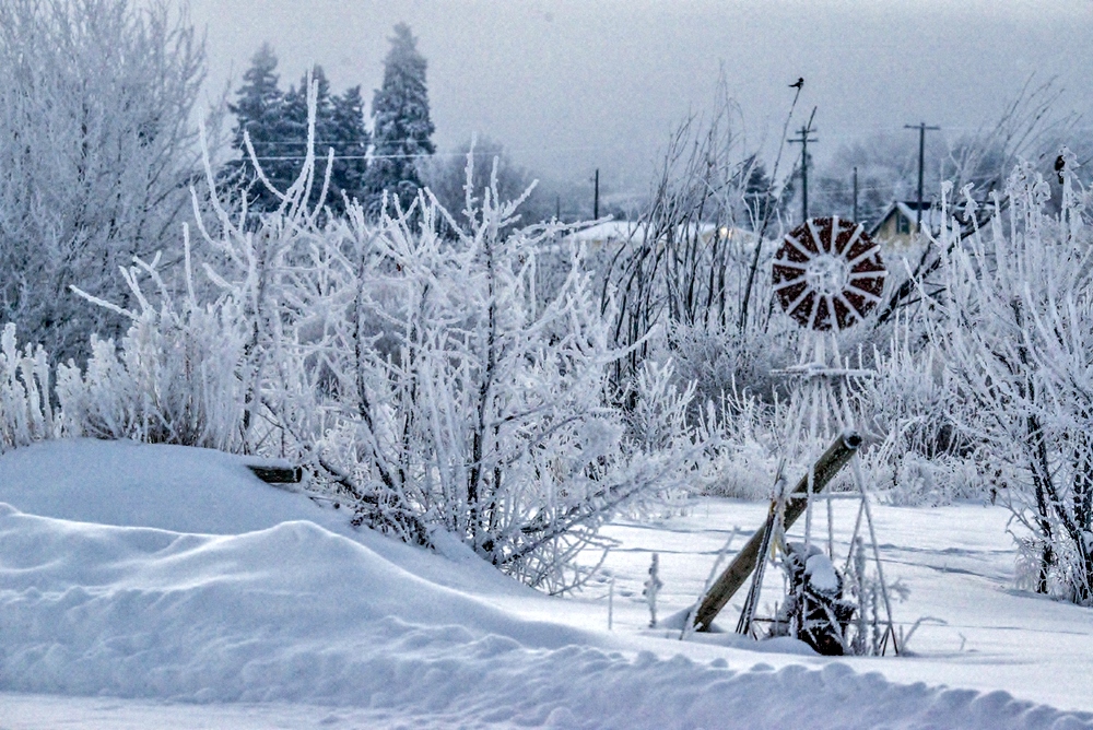 1-DSC_2492.jpg