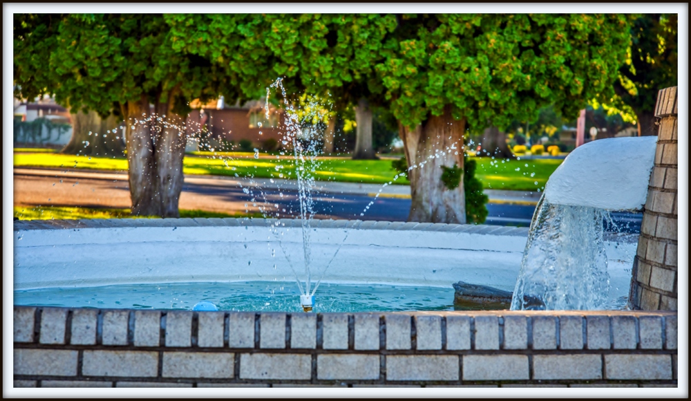 1-DSC_2541.jpg