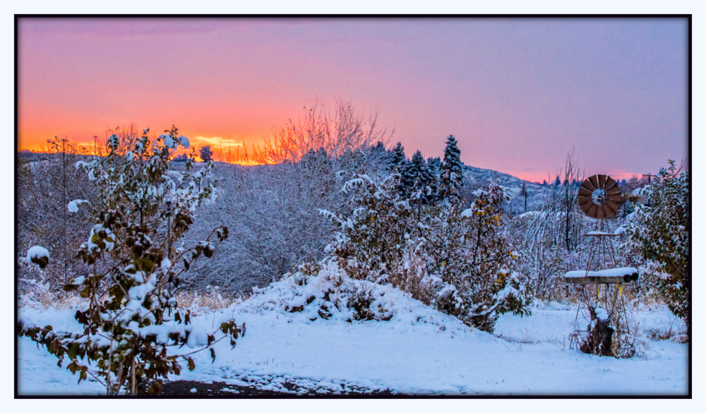 1-DSC_2803-Edit-2.jpg
