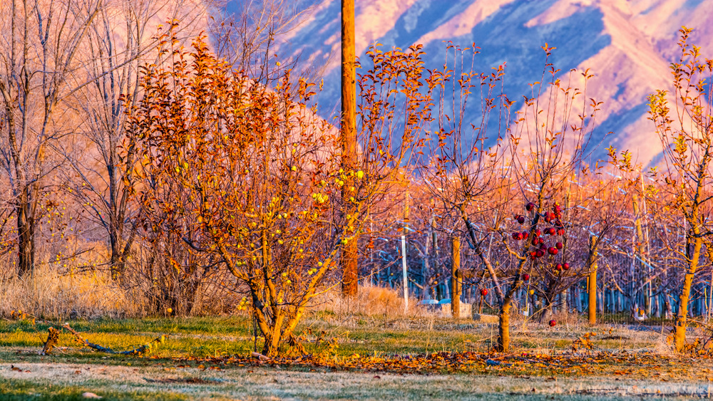 1-DSC_2929.jpg