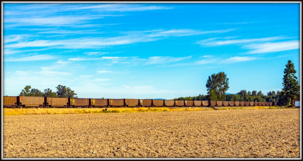 1-DSC_2998.jpg