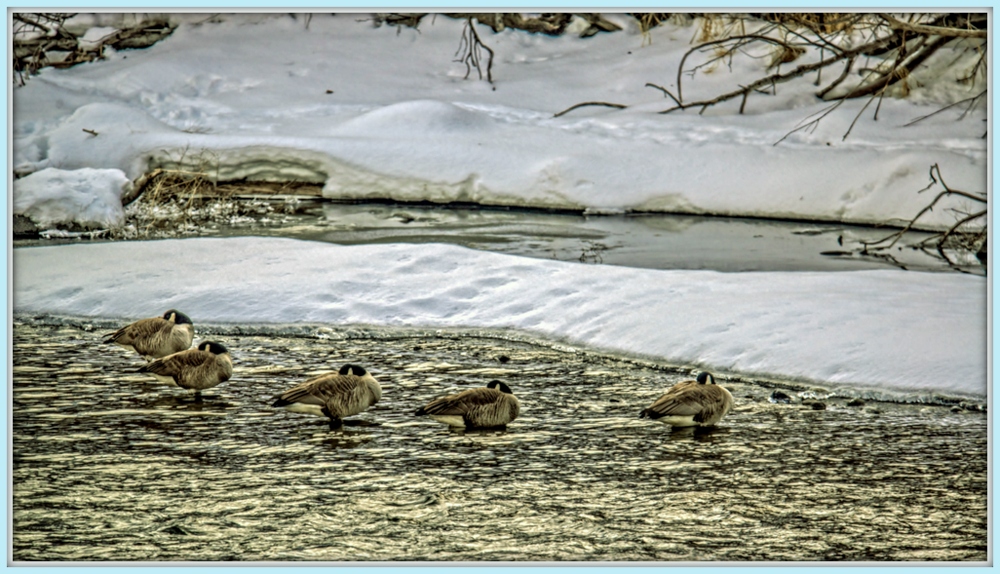 1-DSC_2999-Edit-Edit.jpg