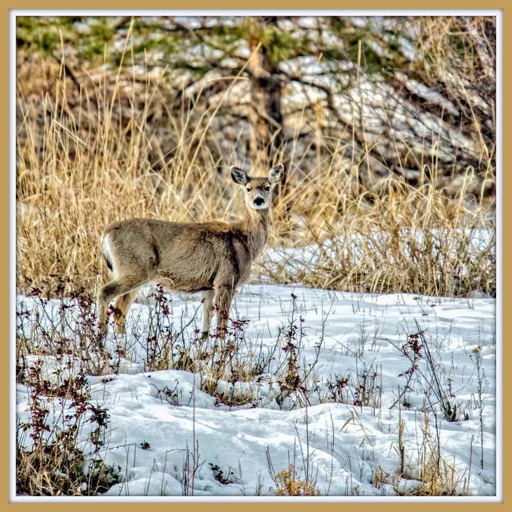 1-DSC_3147-Edit.jpg