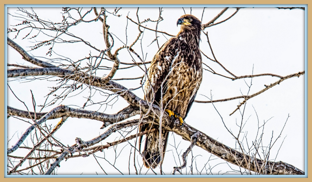 1-DSC_3261-Edit.jpg