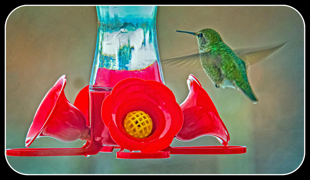 1-DSC_3269-Edit.jpg