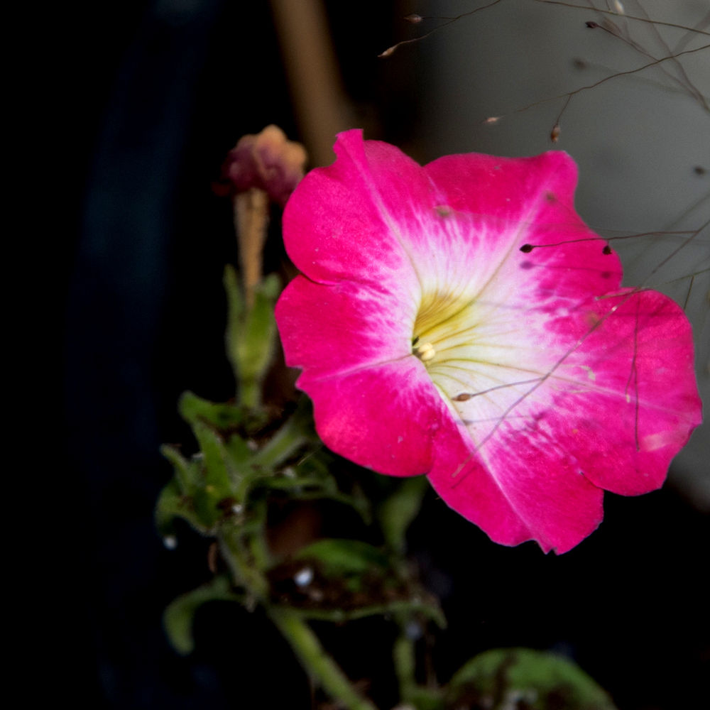 1-DSC_3308.jpg