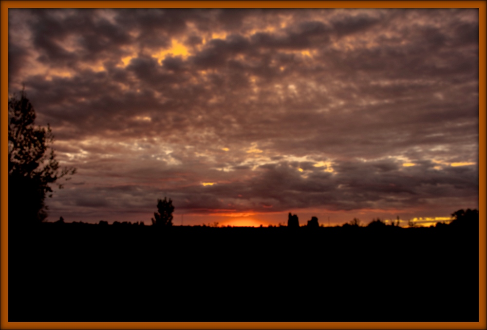 1-DSC_3974.jpg