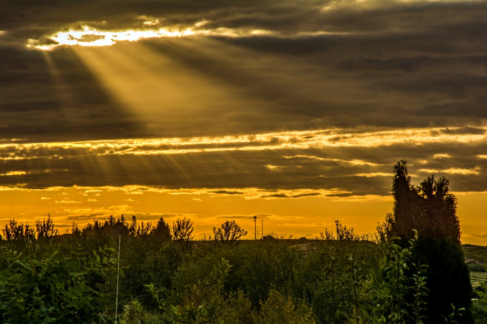 1-DSC_4000.jpg