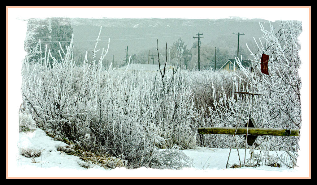 1-DSC_4297-Edit.jpg