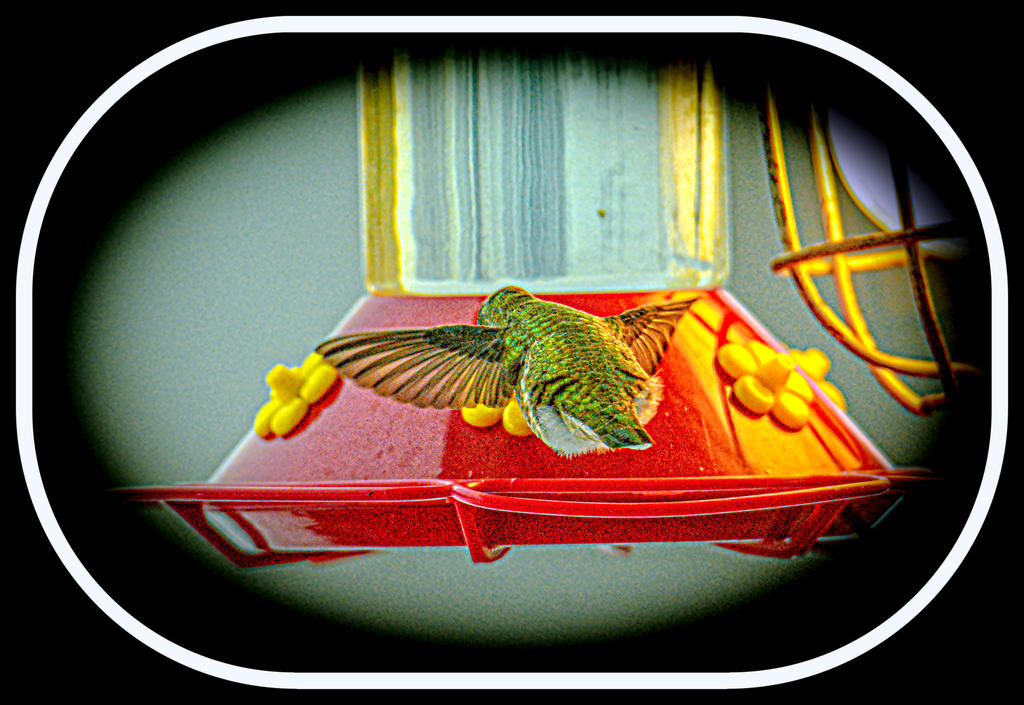 1-DSC_4339-Edit.jpg