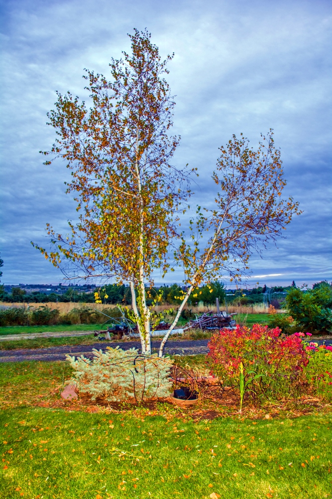 1-DSC_4640.jpg
