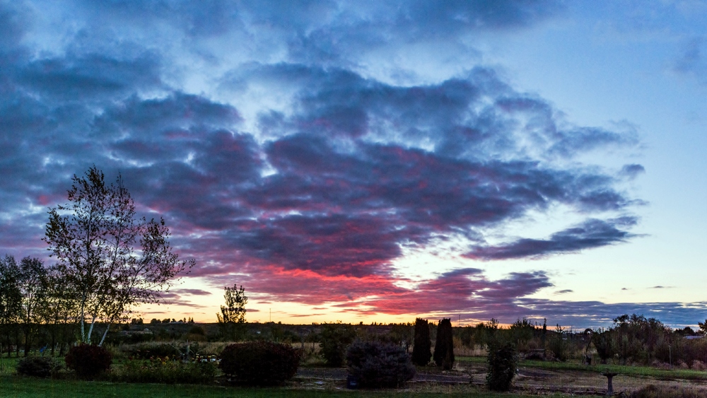 1-DSC_4659-Pano.jpg