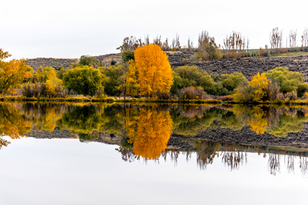 1-DSC_4873.jpg