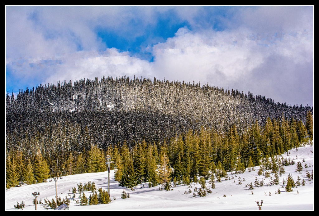 1-DSC_4915-Edit.jpg