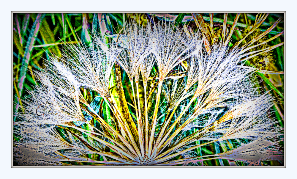 1-DSC_5075-Edit.jpg