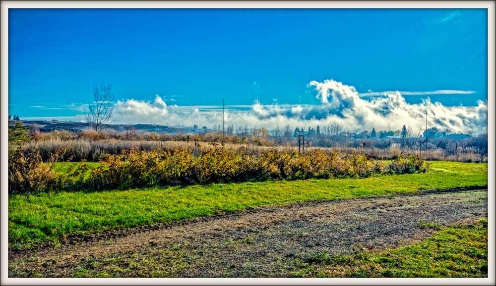 1-DSC_5268-Edit-2.jpg