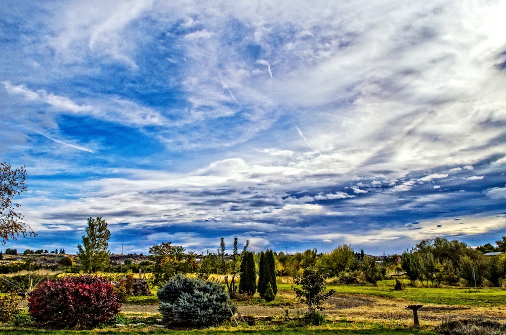 1-DSC_5278-Edit.jpg