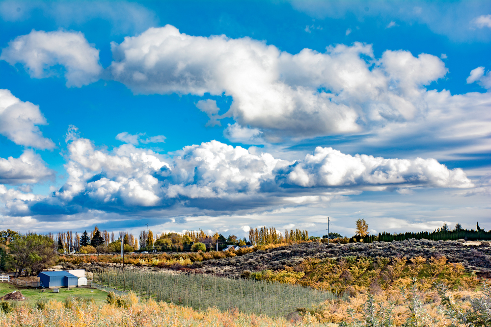 1-DSC_5289.jpg