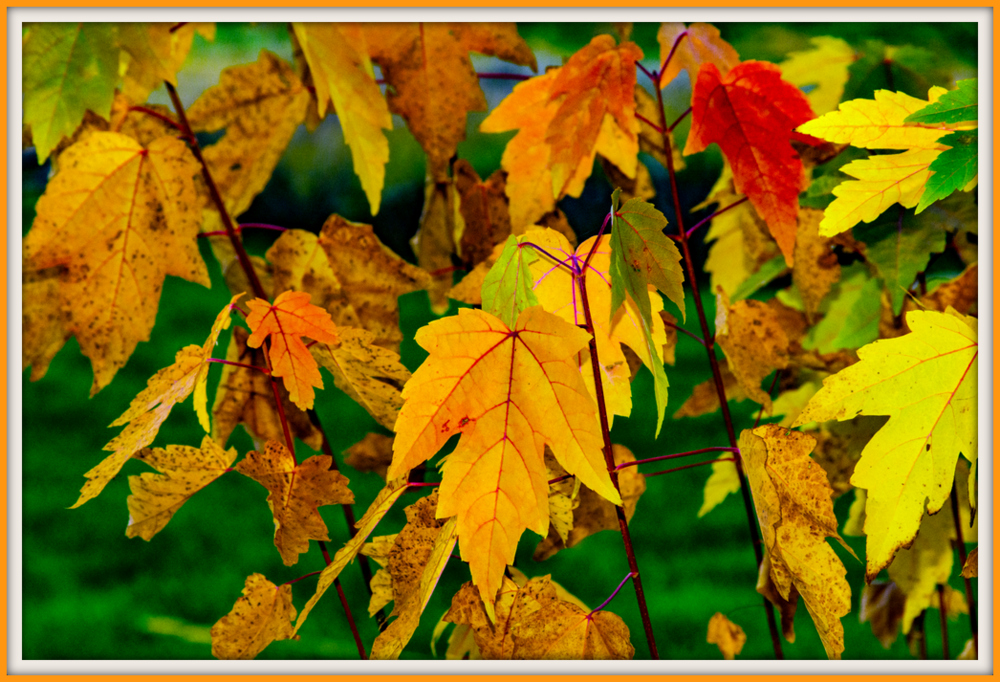 1-DSC_5315.jpg