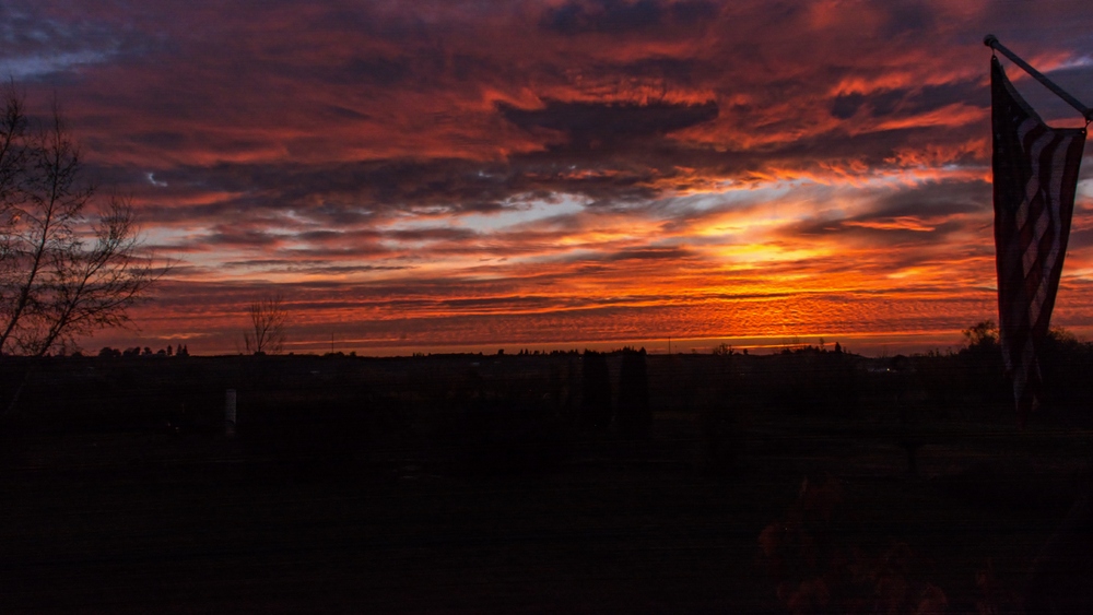 1-DSC_5530.jpg