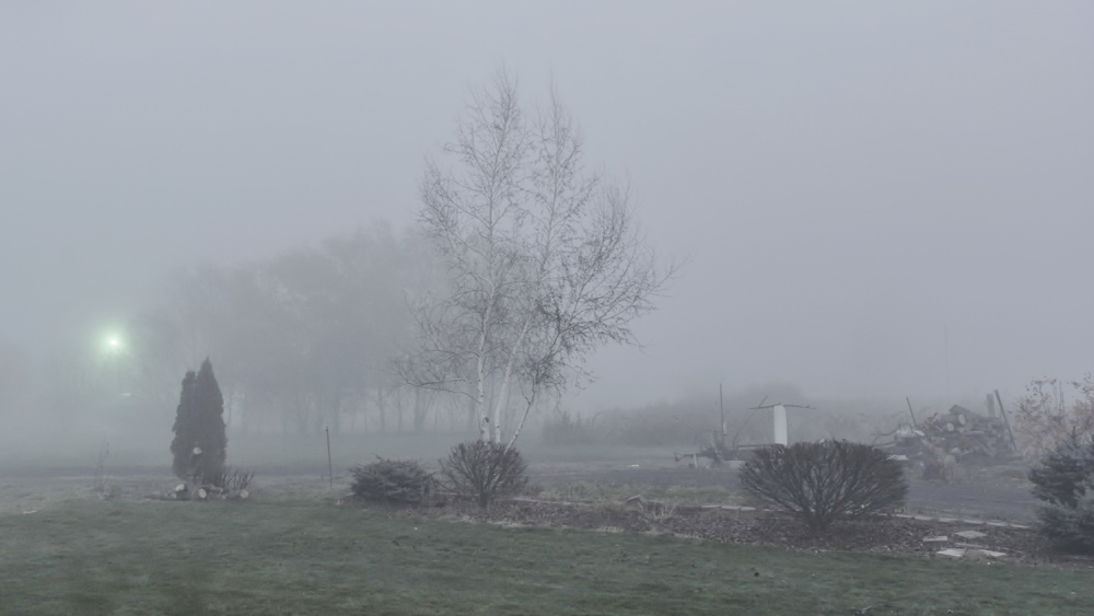 1-DSC_5541.jpg