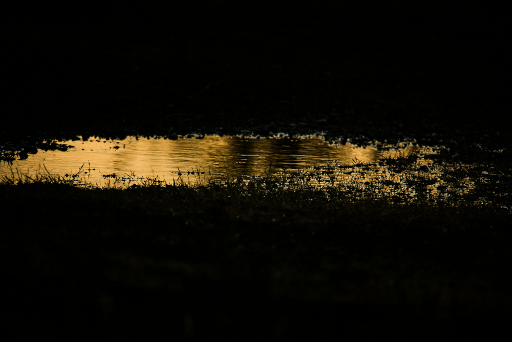 1-DSC_5807.jpg