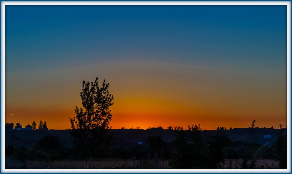 1-DSC_6107-001.jpg