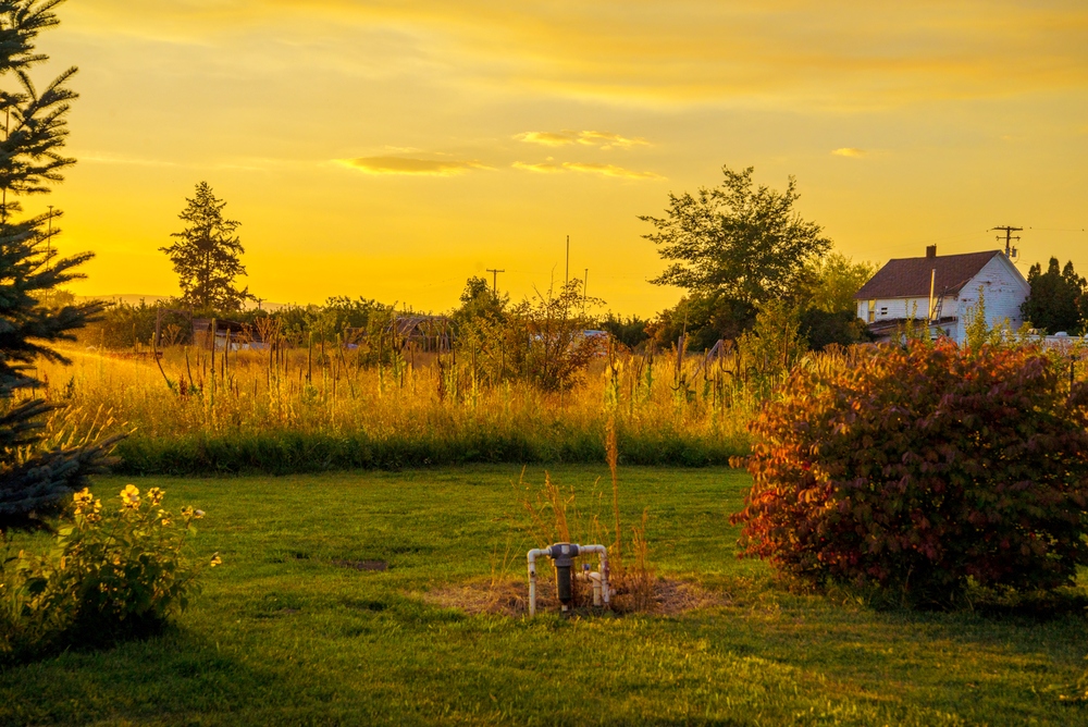 1-DSC_6153.jpg