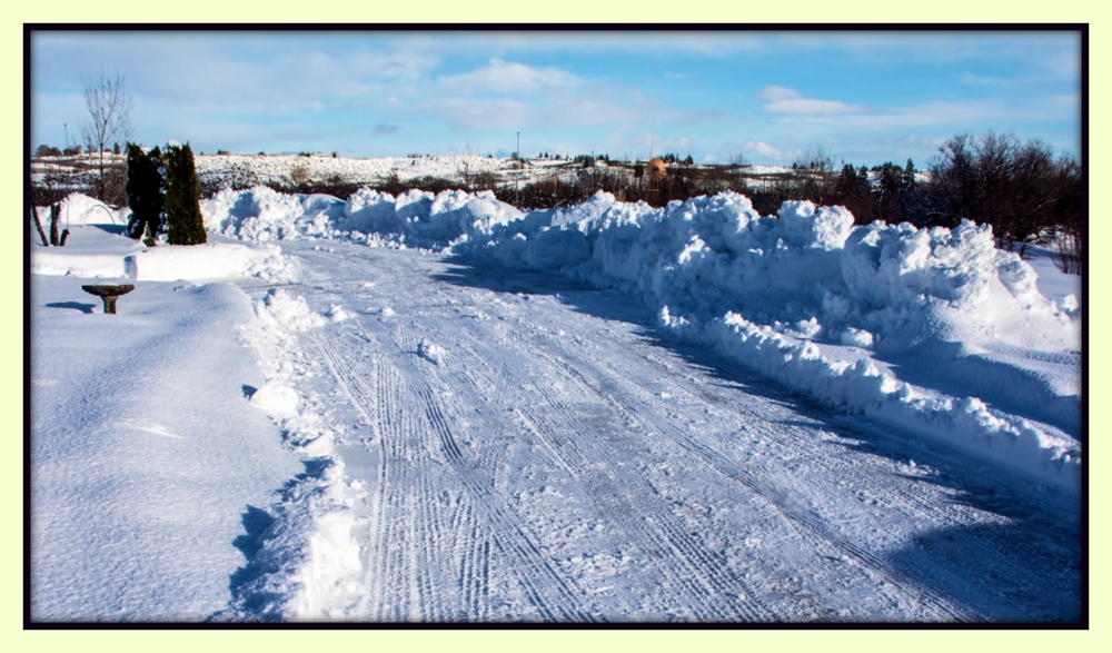 1-DSC_6921.jpg