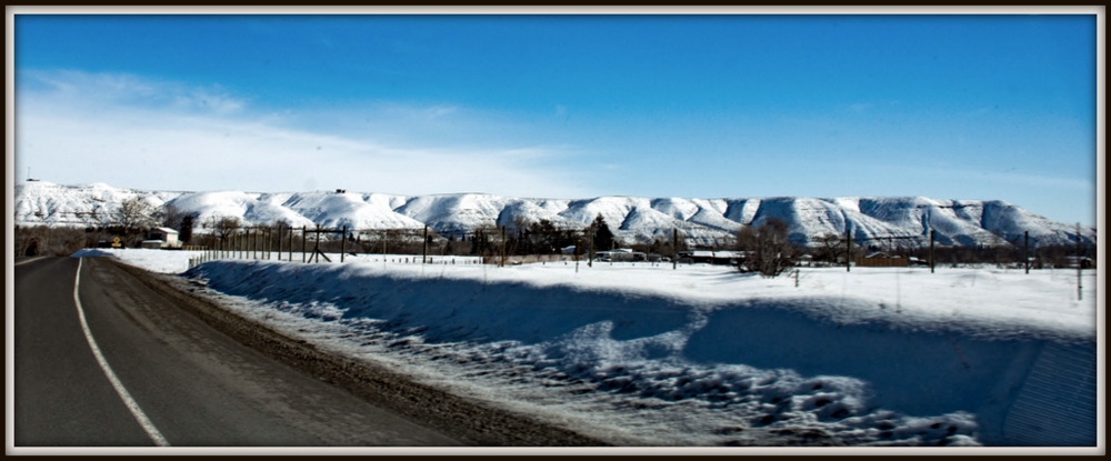 1-DSC_6995.jpg